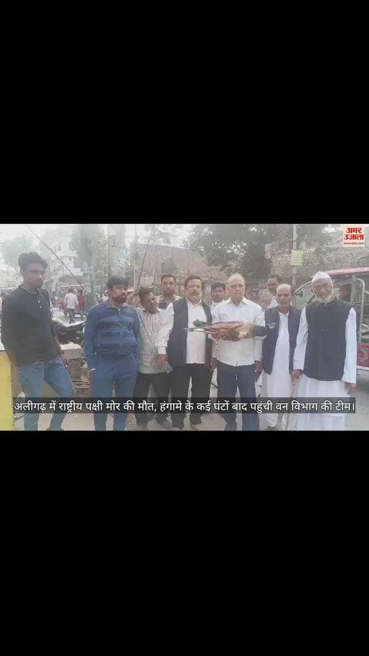 VIDEO : अलीगढ़ में राष्ट्रीय पक्षी मोर की मौत, हंगामे के कई घंटों बाद पहुंची वन विभाग की टीम