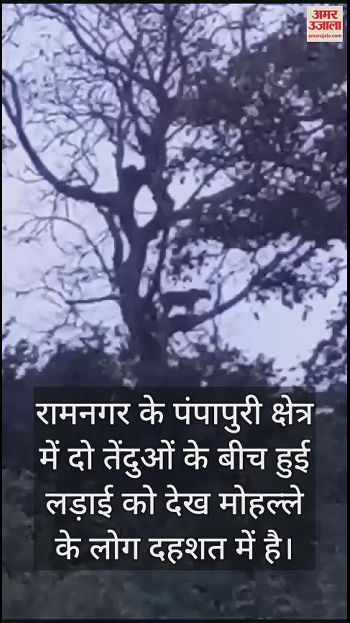 VIDEO : दो दिग्गजों में ऐसी जंग, आप देखकर रह जाएंगे हैरान