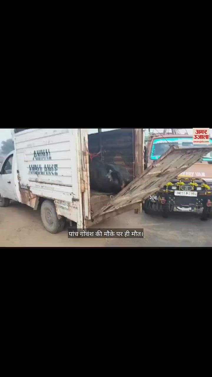 VIDEO : Two people injured in road accident in Mahendragarh