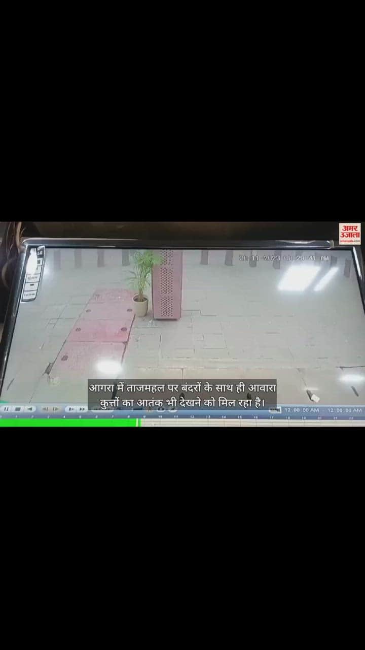 VIDEO : ताजमहल आए कर्नाटक के पर्यटक को कुत्ते ने काटा