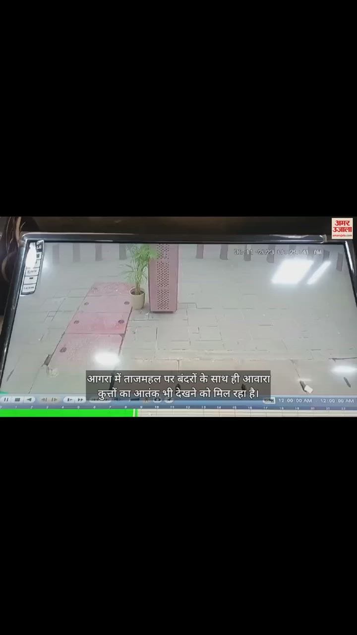 VIDEO : ताजमहल आए कर्नाटक के पर्यटक को कुत्ते ने काटा