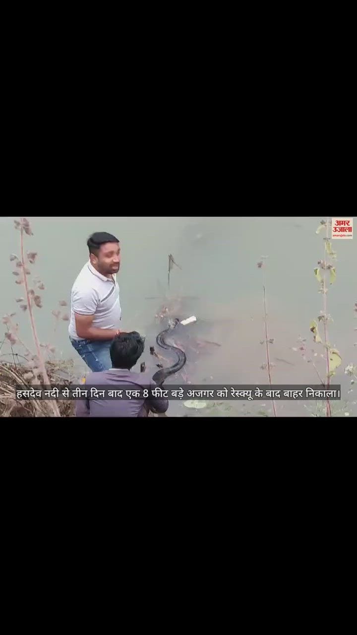 VIDEO : कोरबा में एक आठ फीट बड़े अजगर को पकड़ा, घंटों चला रेस्क्यू ऑपरेशन