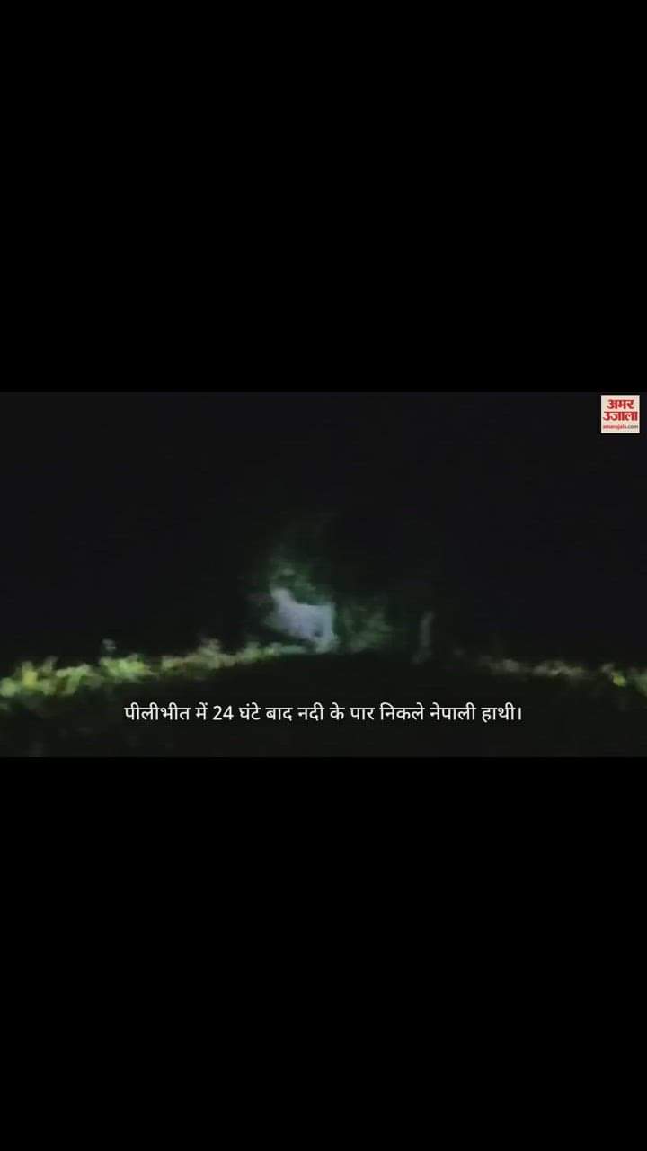 VIDEO : पीलीभीत में 24 घंटे बाद नदी के पार निकले नेपाली हाथी, ग्रामीणों ने ली राहत की सांस