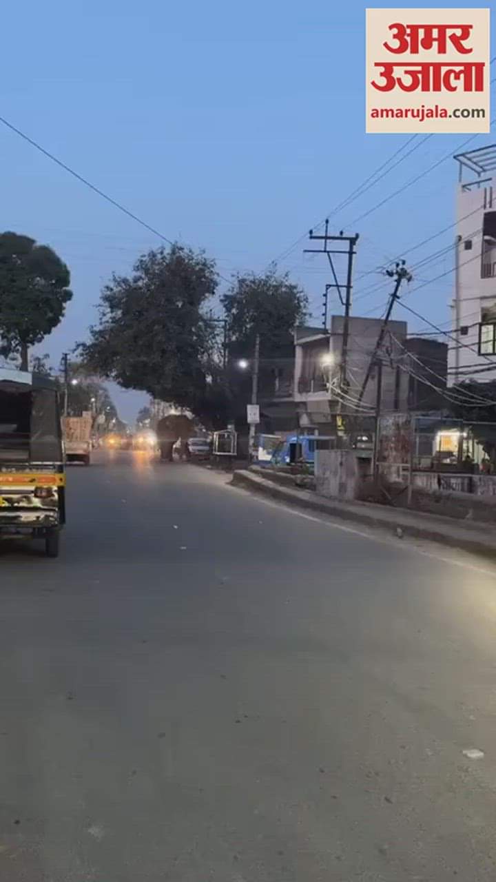 मेन रोड पर आया हाथी