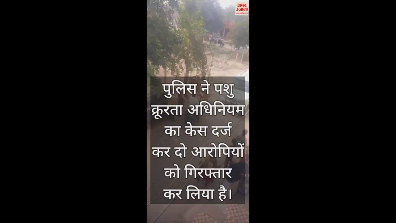 VIDEO : कुत्ते को डंडे मारे, फिर रस्सी बांधकर किया ऐसा काम...वीडियो देख खौल उठेगा खून