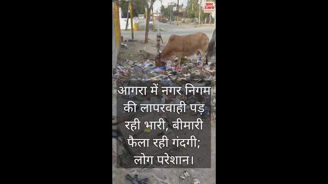 VIDEO : आगरा में नगर निगम की लापरवाही पड़ रही भारी, बीमारी फैला रही गंदगी; लोग परेशान