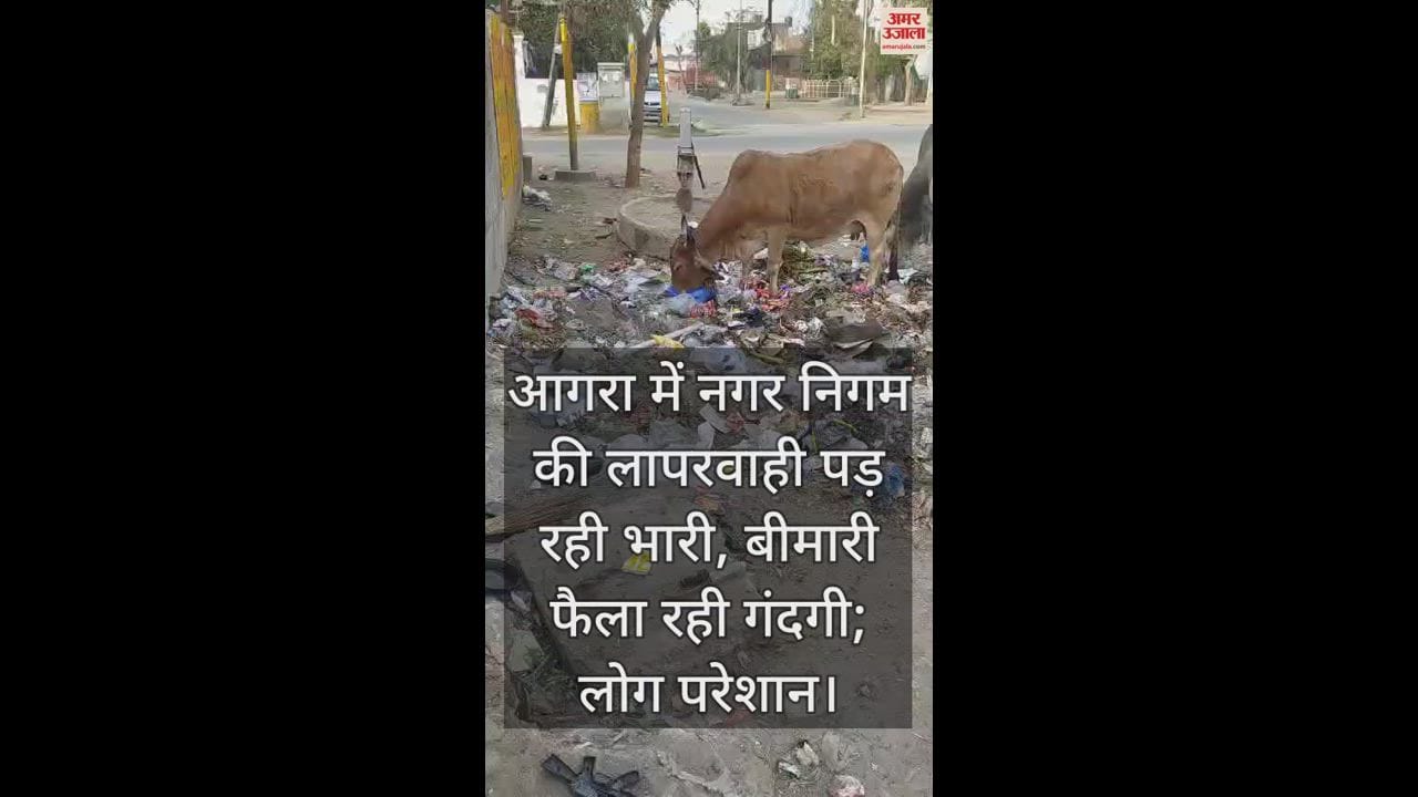 VIDEO : आगरा में नगर निगम की लापरवाही पड़ रही भारी, बीमारी फैला रही गंदगी; लोग परेशान