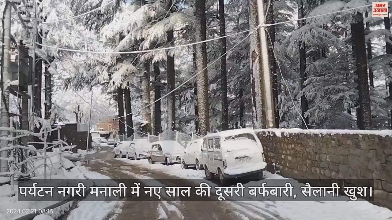 VIDEO : Second snowfall of new year in tourist city Manali, tourists happy