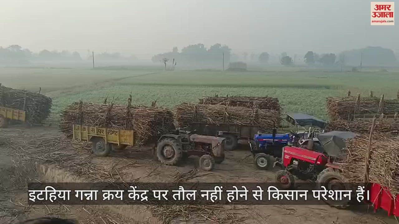 VIDEO : Farmers are worried due to lack of weighing at Ithiya sugarcane purchasing center of Maharajganj