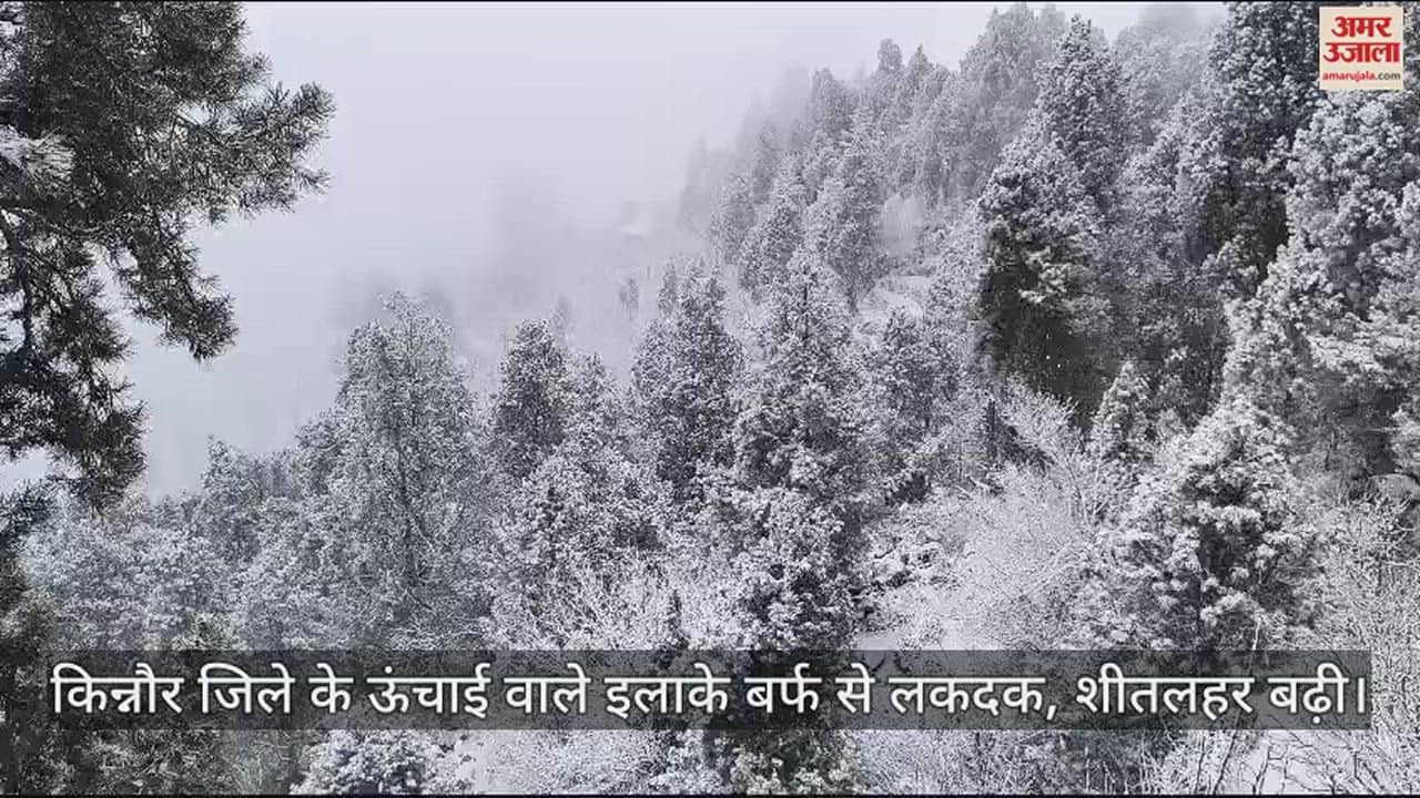 VIDEO : High altitude areas of Kinnaur district covered with snow, cold wave increased