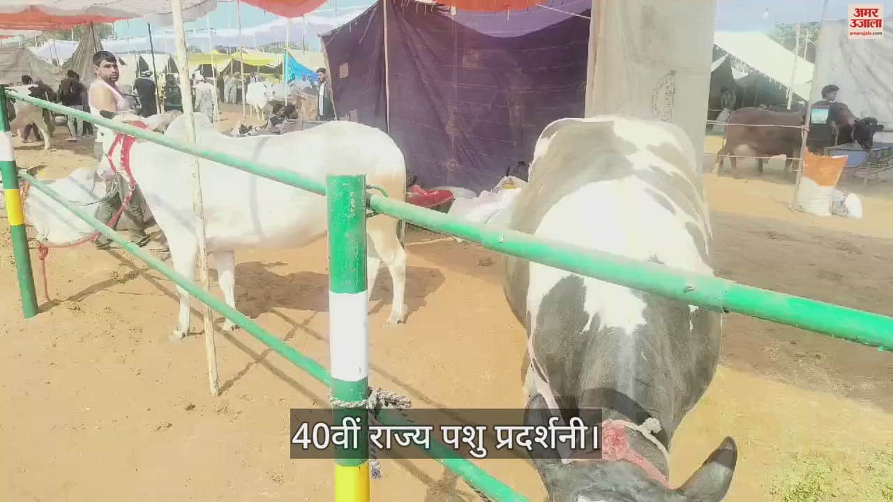 VIDEO : महेंद्रगढ़ में राज्य स्तरीय तीन दिवसीय पशुधन प्रदर्शनी में एग्रीकल्चर के साथ दिखेगा हरियाणा का कल्चर