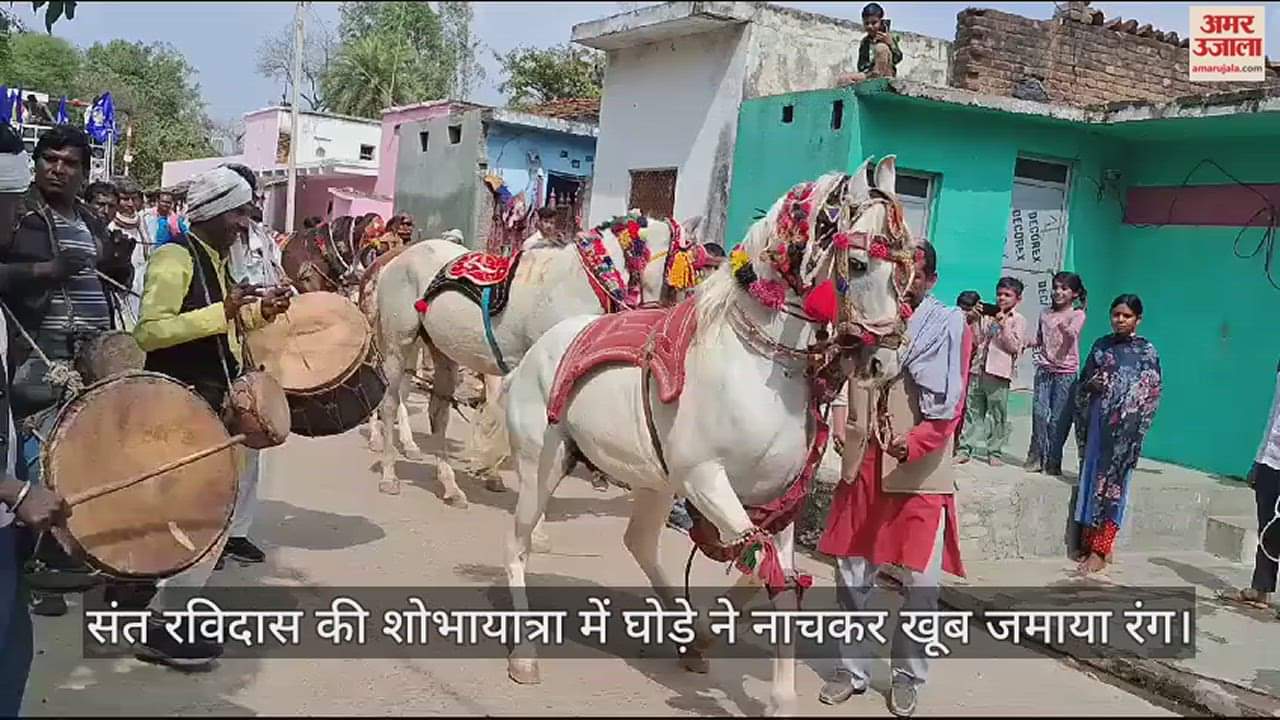 VIDEO : महोबा में संत रविदास जयंती पर निकली भव्य शोभायात्रा, झूम-झूमकर नाचा घोड़ा...मनमोहक झांकियों ने जीता दिल