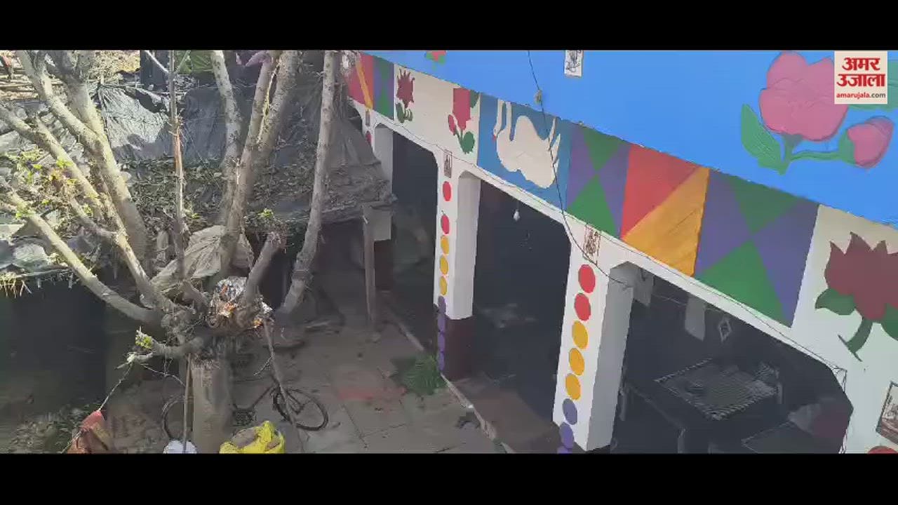VIDEO : Leopard was killed arbitrarily in Sambhal, after getting trapped in the net, it was pressed upside down with cots.