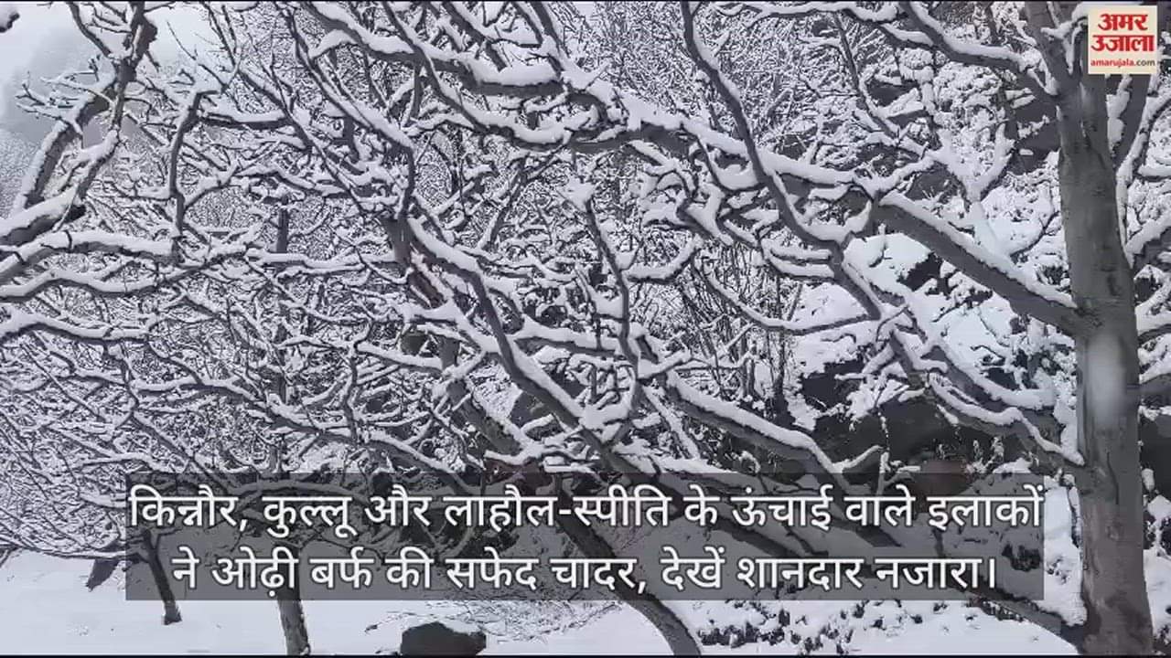VIDEO : High altitude areas of Kinnaur, Kullu and Lahaul-Spiti covered with white blanket of snow, see spectacular view