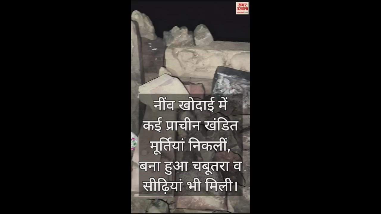 VIDEO : ठाकुर जी महाराज मंदिर की नींव खोदाई में निकली प्राचीन मूर्तियां, लोगों में कौतूहल