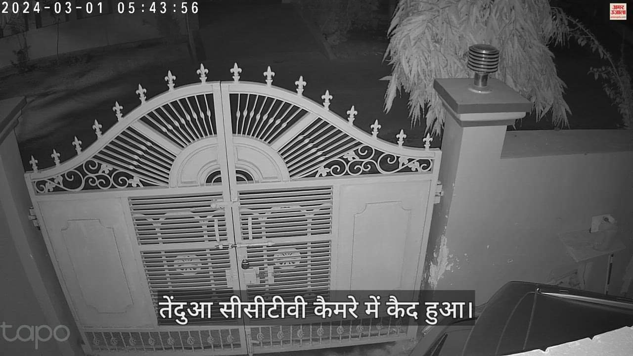 VIDEO : A leopard has captured on cctv in Meerut