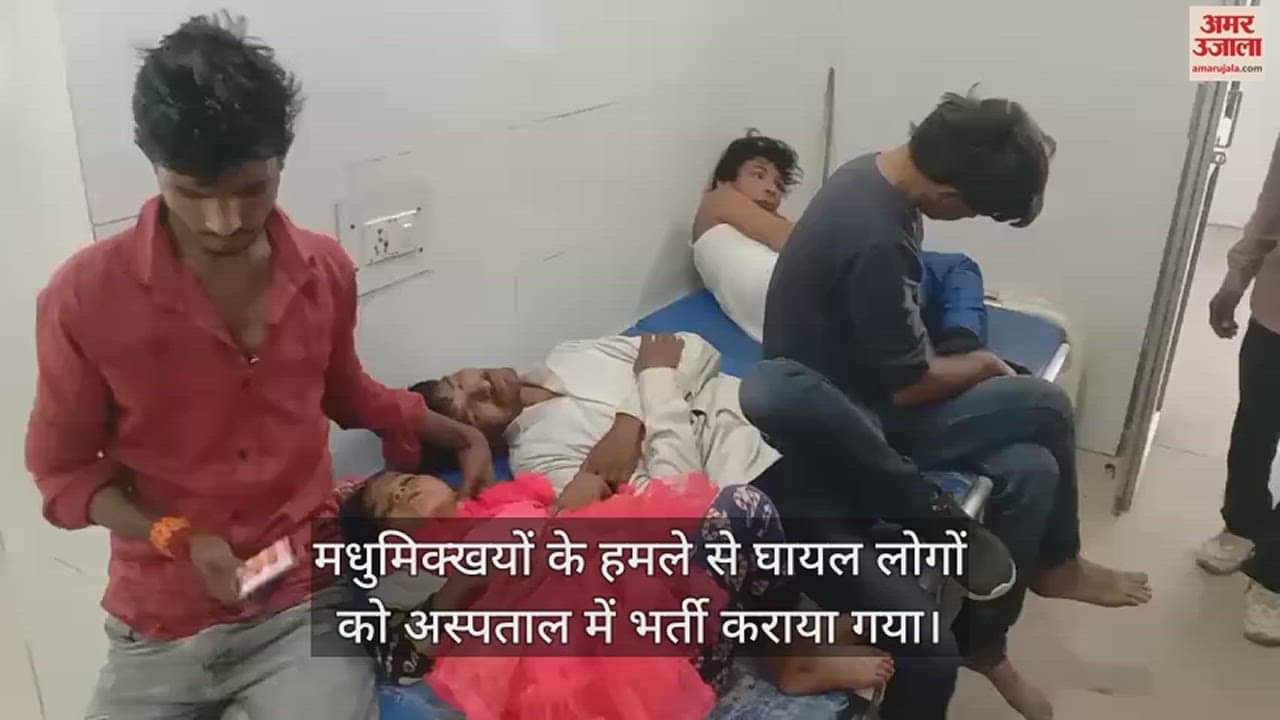 VIDEO : महोबा में मधुमिक्खयों के हमले से दंपती समेत आठ लोग घायल, मचा हड़कंप