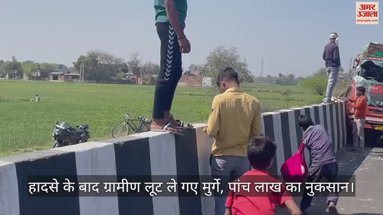VIDEO : इटावा में मुर्गों से भरी डीसीएम पलटी, लूटने की मची होड़