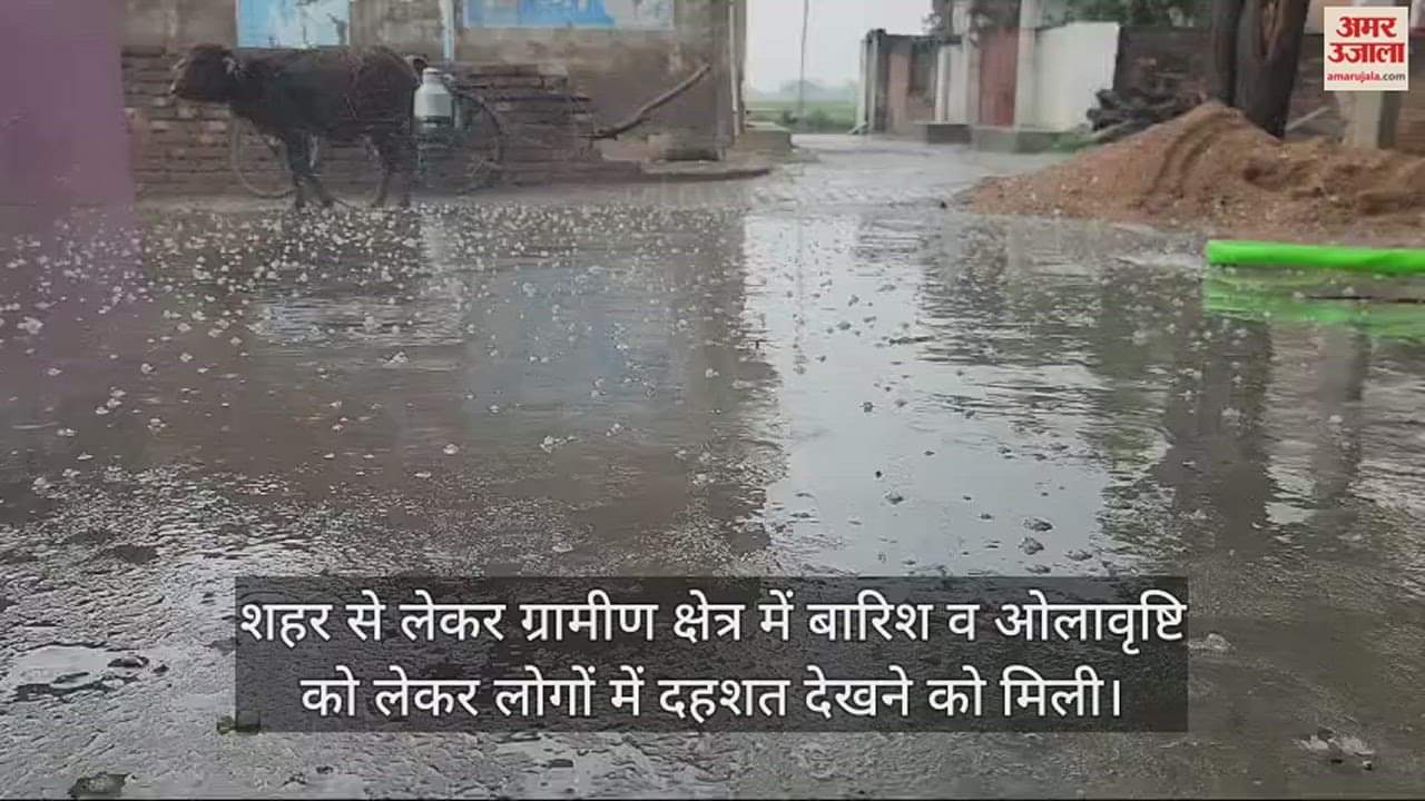 VIDEO : बारिश व ओलावृष्टि से फसलों को हुआ नुकसान, किसानों के माथे पर आईं चिंता की लकीरें