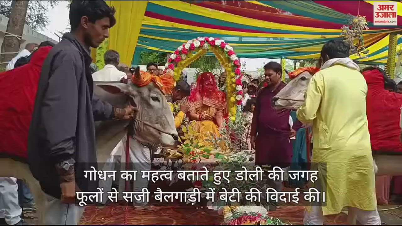 VIDEO : हमीरपुर में फूलों से सजी बैलगाड़ी में विदा हुई किसान की बेटी, देखने उमड़ी भीड़