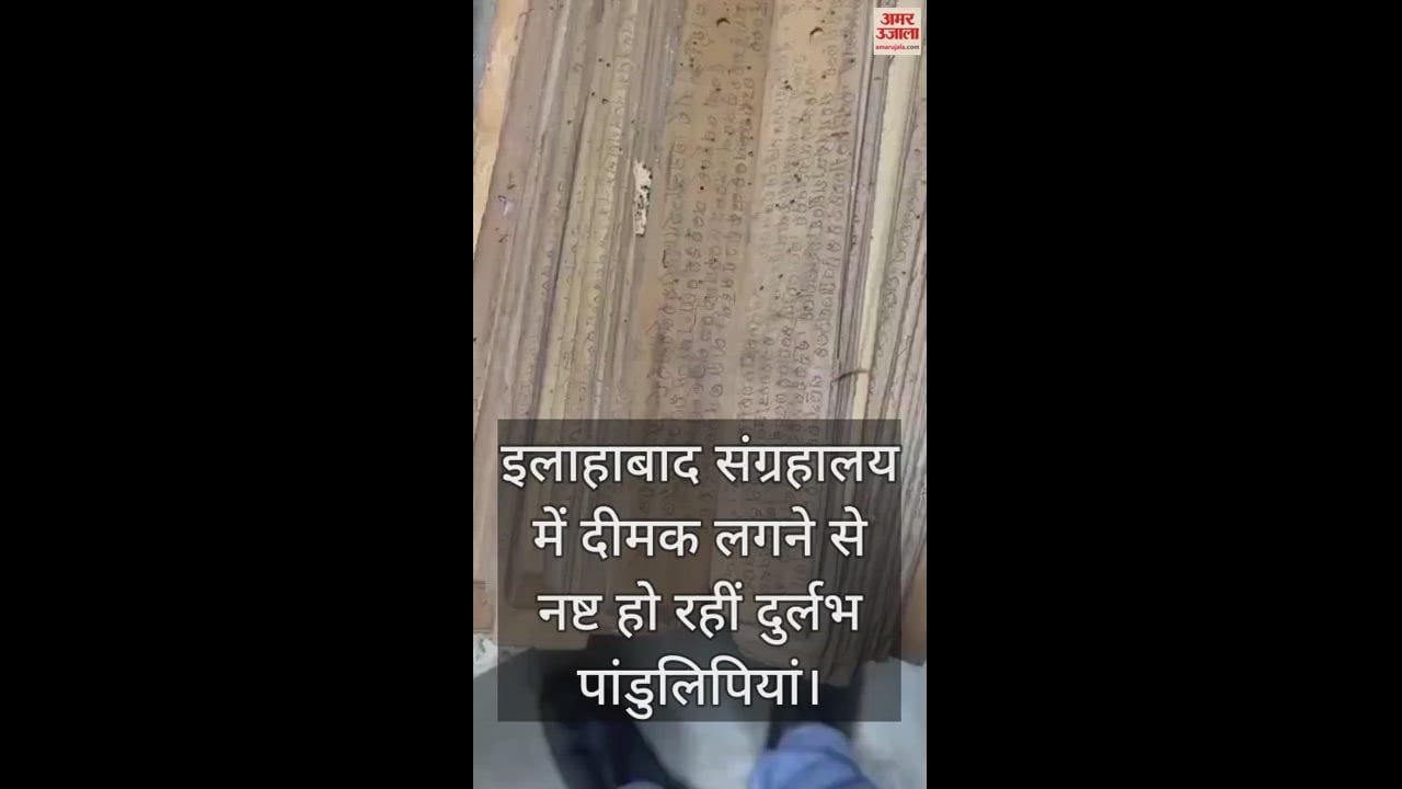 VIDEO : इलाहाबाद संग्रहालय : दो दशक से जमीन पर रखी थीं पांडुलिपियां, दुर्लभ पेंटिंग भी हुई बर्बाद