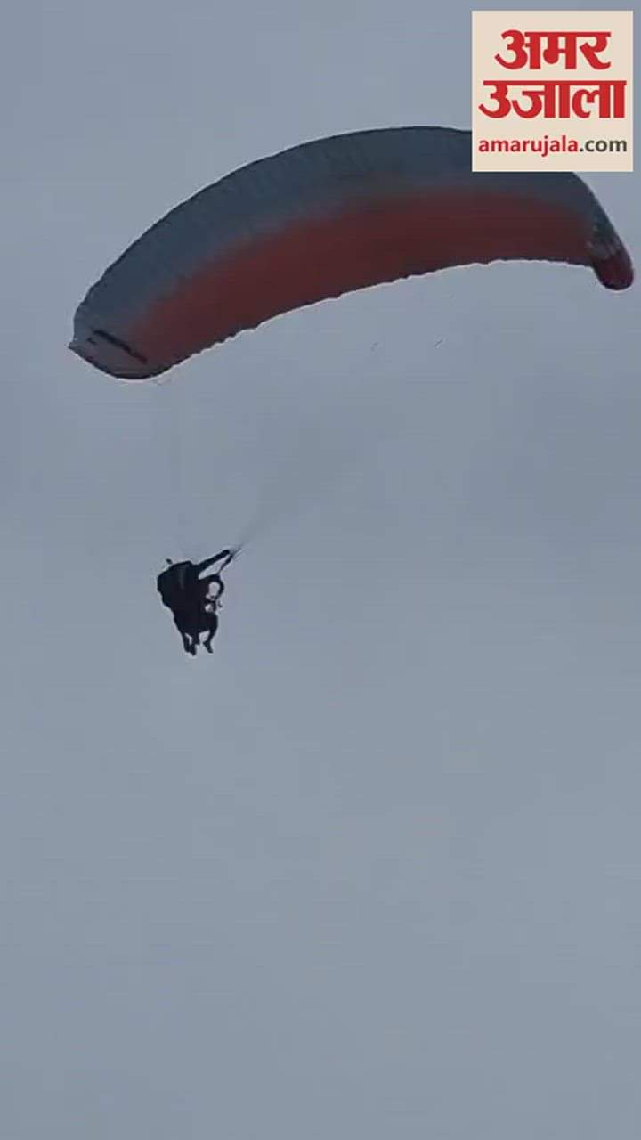 VIDEO : Two paragliders lost their way due to storm in Kullu, One stuck in a tree, the other also made emergency landing