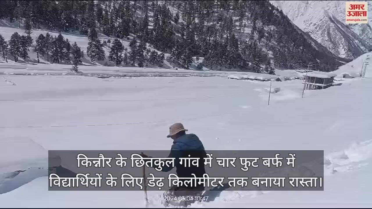 VIDEO : In Chitkul village of Kinnaur, a path of one and a half kilometer long was built for the students in four feet of snow.
