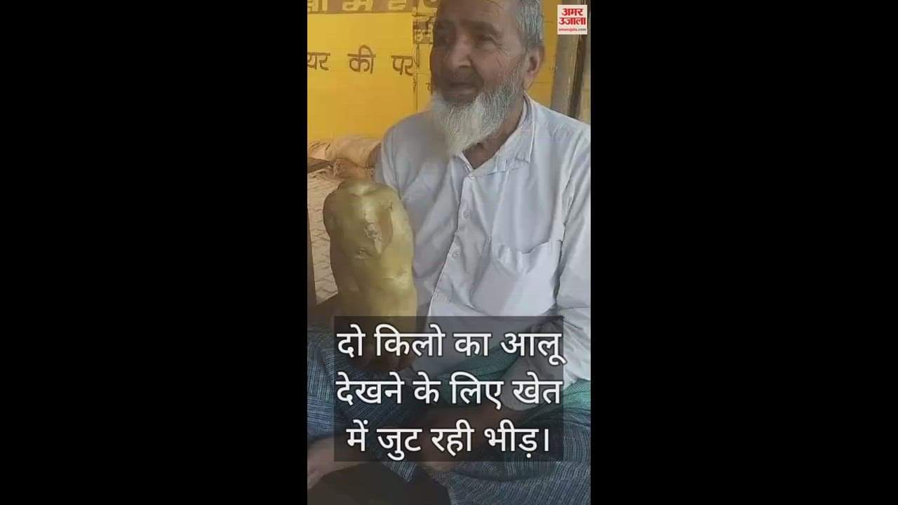 VIDEO : जैविक खाद ने बदली किसान की तकदीर, खेत में उगा दो किलो का आलू