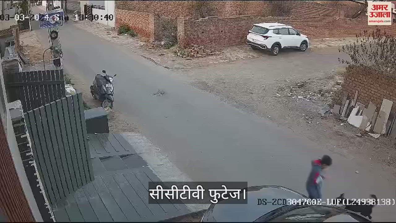 VIDEO : फतेहाबाद में बच्चे को कुत्ते ने बुरी तरह से नोचा, सीसीटीवी फुटेज आया सामने
