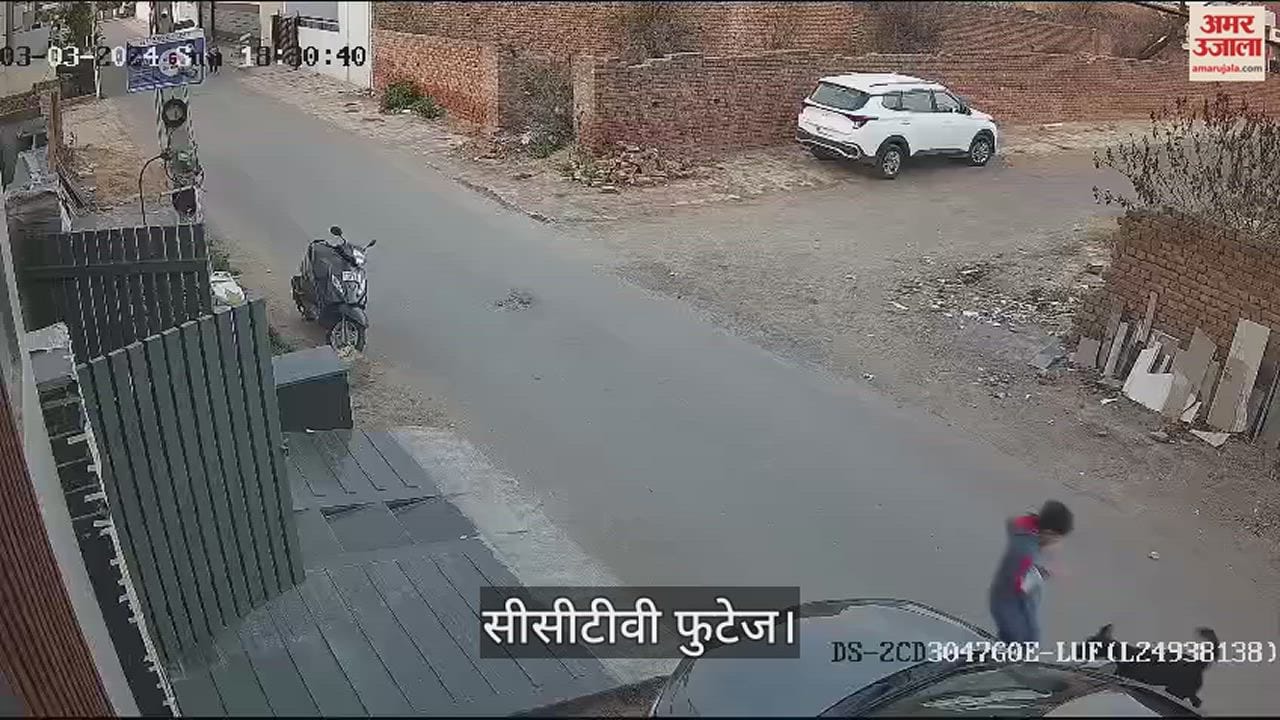 VIDEO : फतेहाबाद में बच्चे को कुत्ते ने बुरी तरह से नोचा, सीसीटीवी फुटेज आया सामने