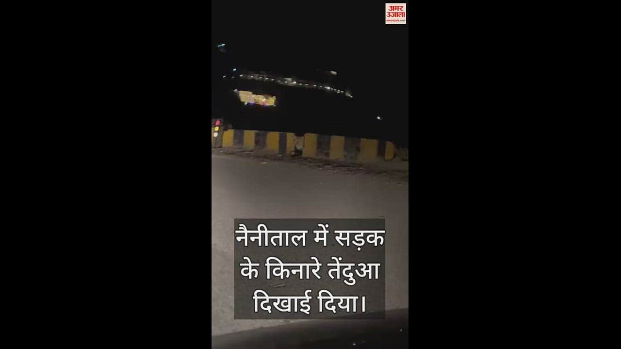 VIDEO : सुनसान सड़क पर तेंदुआ दिखाई देने से लोगों में दहशत, राहगीरों ने कैमरे में किया कैद; सामने आया खौफनाक वीडियो