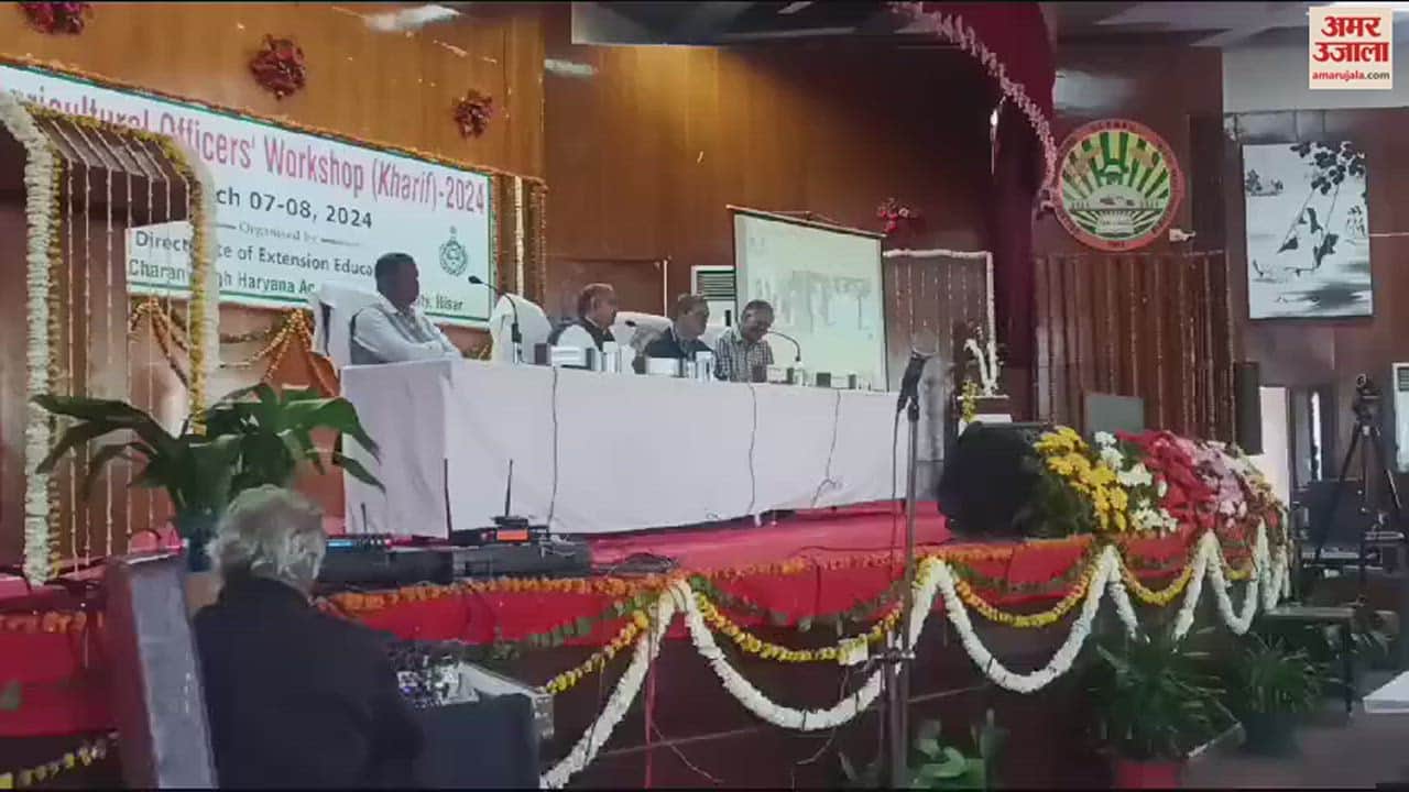 VIDEO : हिसार एचएयू ने खरीफ के लिए स्वीकृति दी, मूंग की किस्म एमएच 1762 देगी ज्यादा उपज