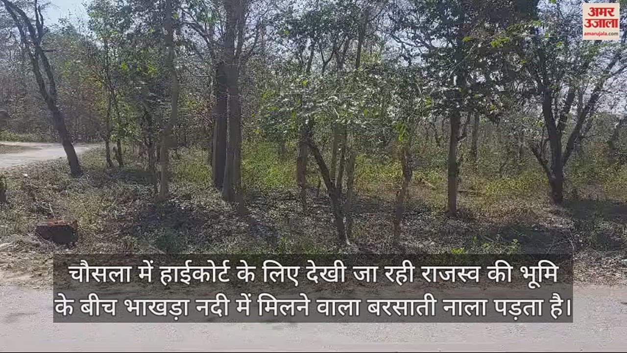 VIDEO : जहां देखी हाईकोर्ट के लिए जमीन, वहां से गुजरता है बरसाती नाला; देखें वीडियो
