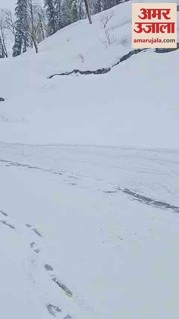 VIDEO : Snowfall again in Solanganala and Atal Tunnel