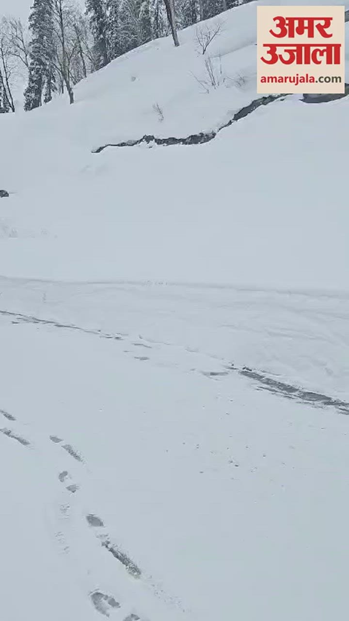 VIDEO : Snowfall again in Solanganala and Atal Tunnel