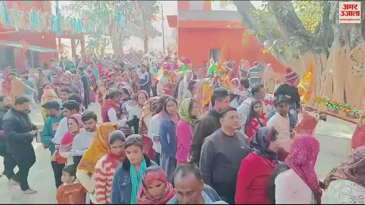 VIDEO : Crowd of Shiva devotees gathered for Jalabhishek on Mahashivratri in Gajraula, chanting of Bam Bhole