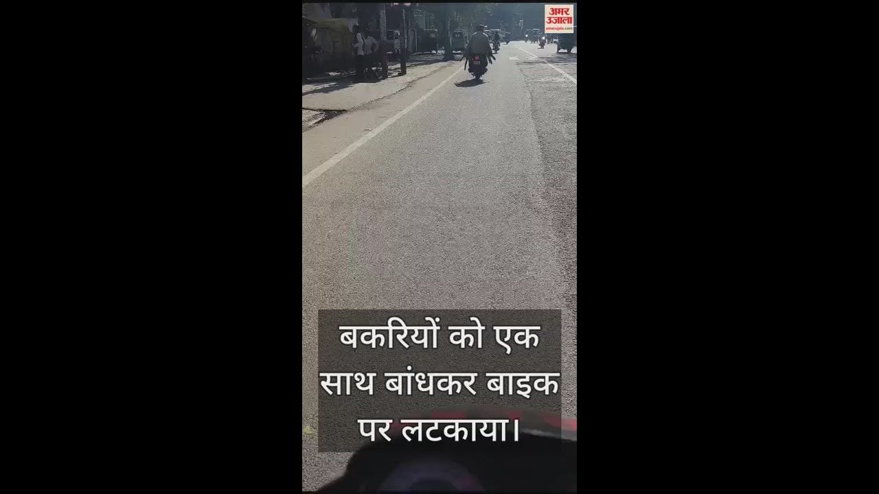 VIDEO : हमीरपुर में पशु क्रूरता, बकरियों को बांधकर बाइक से लटकाया, गाड़ी से ले जाते दिखे सवार, जांच में जुटी पुलिस