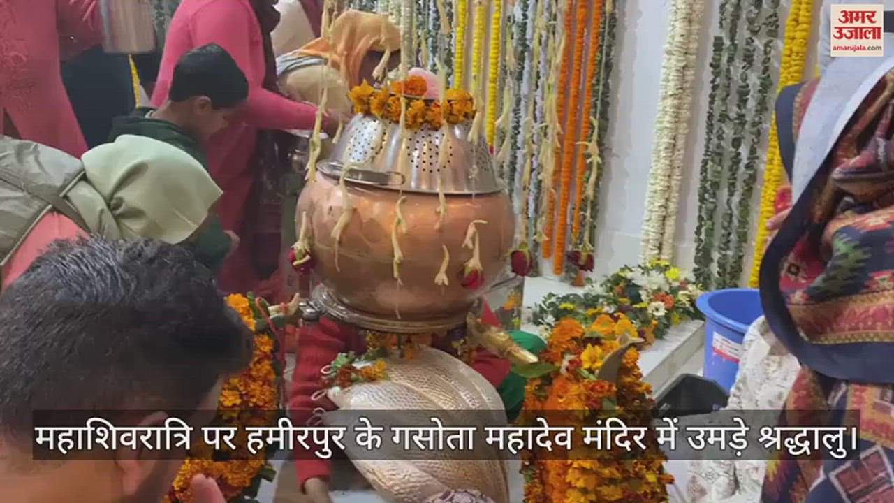 VIDEO : Long lines formed in Gasota Mahadev Temple of Hamirpur