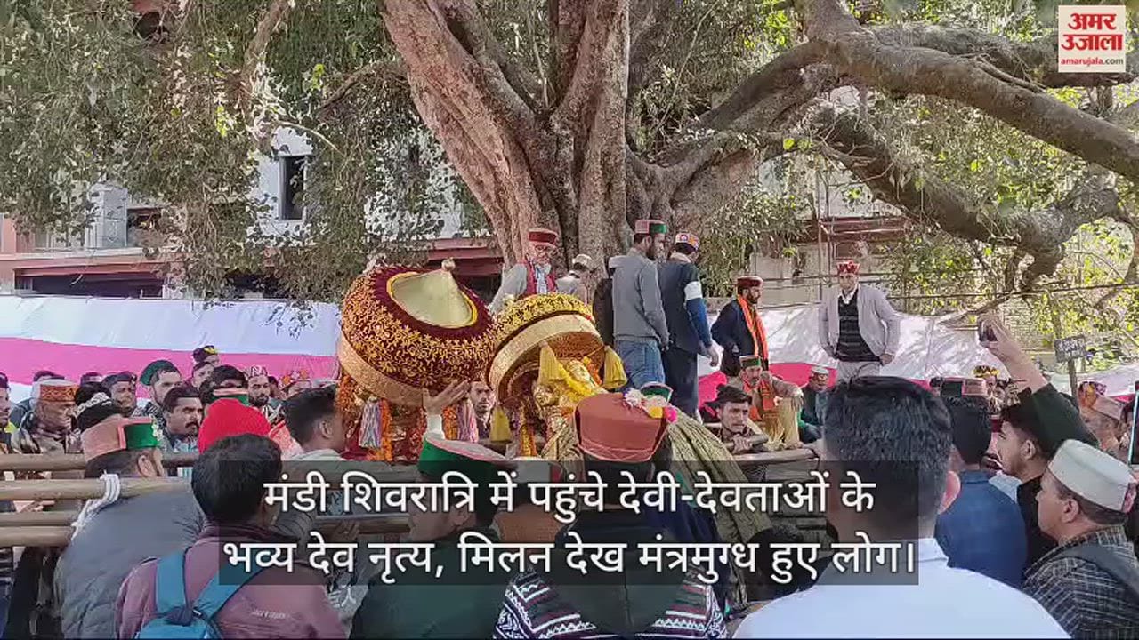 VIDEO : People were mesmerized after seeing the grand dance and meeting of Gods and Goddesses