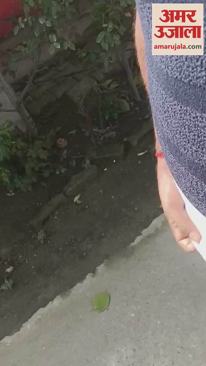 VIDEO : थानाध्यक्ष के कक्ष में भाजपा नेता की मौजदूगी में रुपयों का लेनदेन, वीडियो वायरल