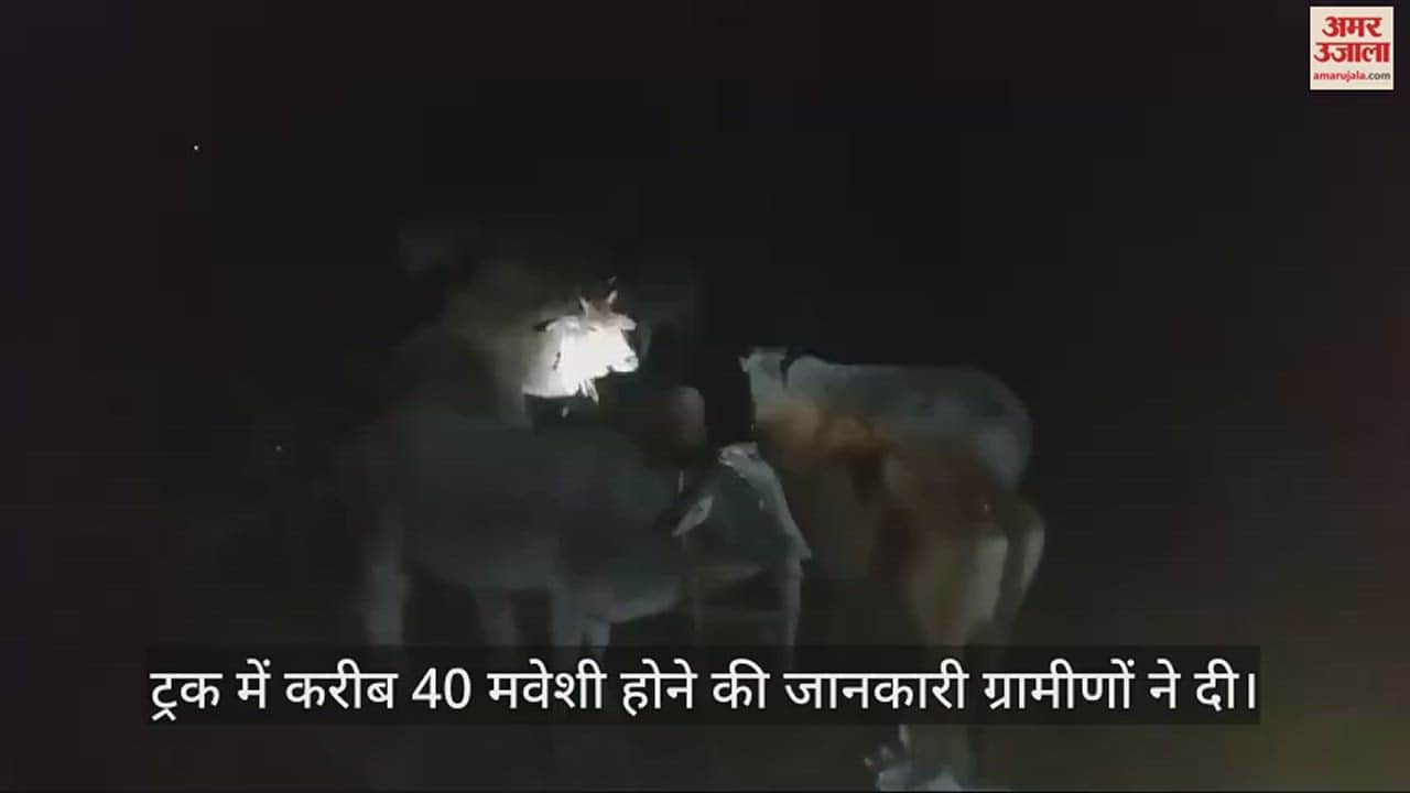 VIDEO : हरदोई में ग्रामीणों ने पकड़ा छुट्टा मवेशियों से भरा ट्रक, चालक भाग निकला