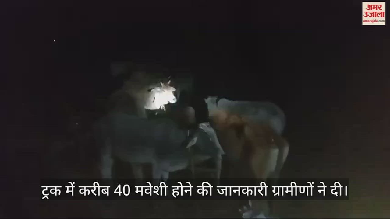 VIDEO : हरदोई में ग्रामीणों ने पकड़ा छुट्टा मवेशियों से भरा ट्रक, चालक भाग निकला