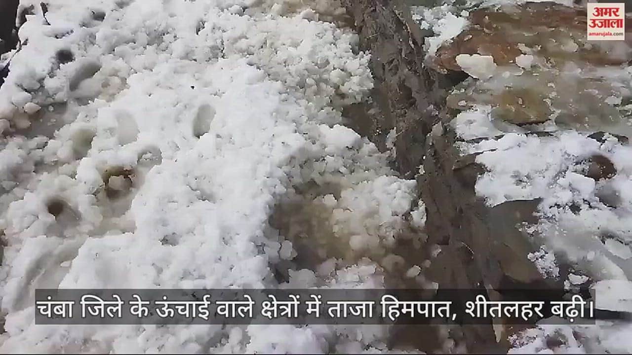 VIDEO : Fresh snowfall in high altitude areas of Chamba district, cold wave increases