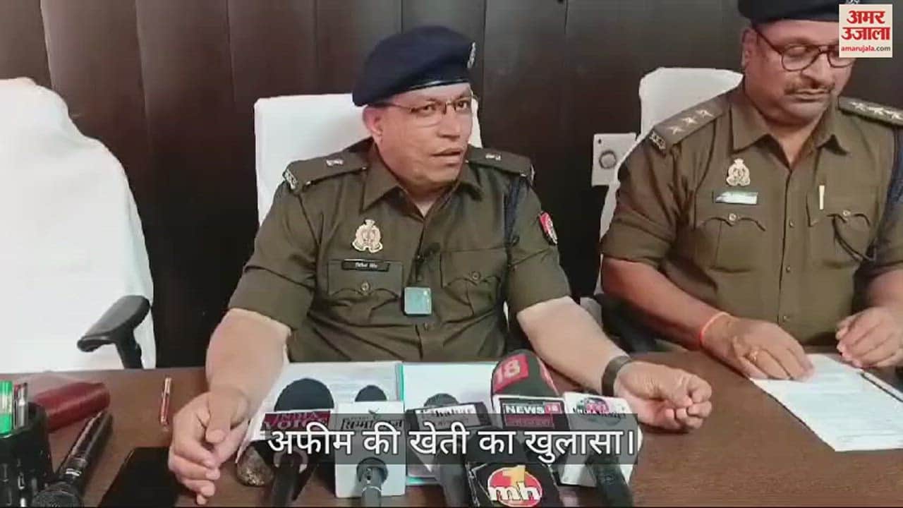 VIDEO : Opium cultivation exposed in Mirzapur two smugglers arrested with plants