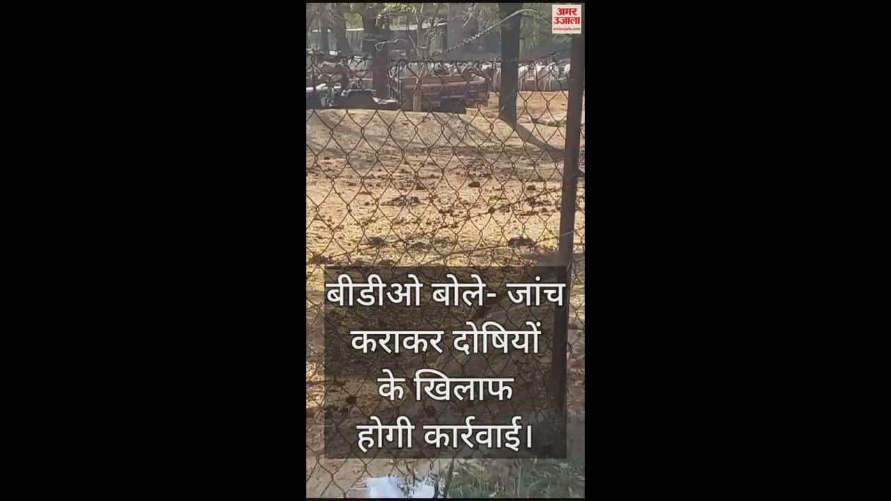 VIDEO : महोबा में मृत गोवंश को ट्रैक्टर-ट्रॉली में बांधकर घसीटा