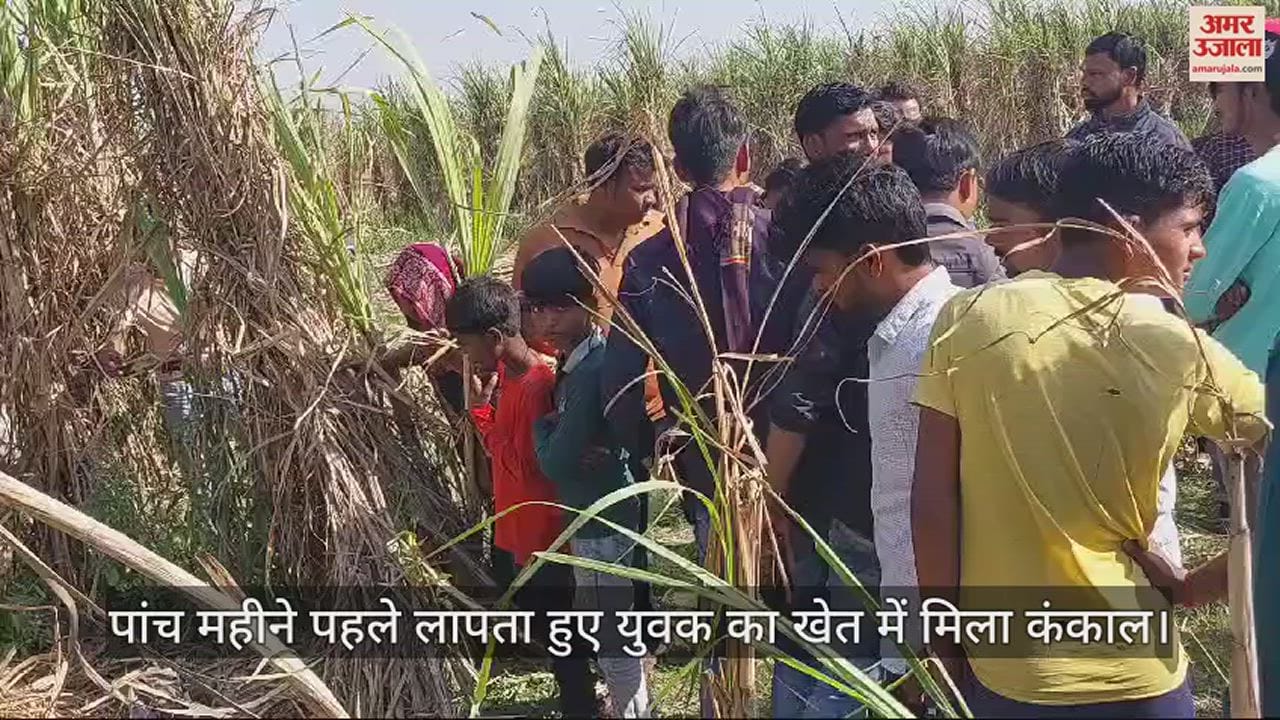 VIDEO : पांच महीने पहले लापता हुए युवक का खेत में मिला कंकाल, पुलिस जांच में जुटी