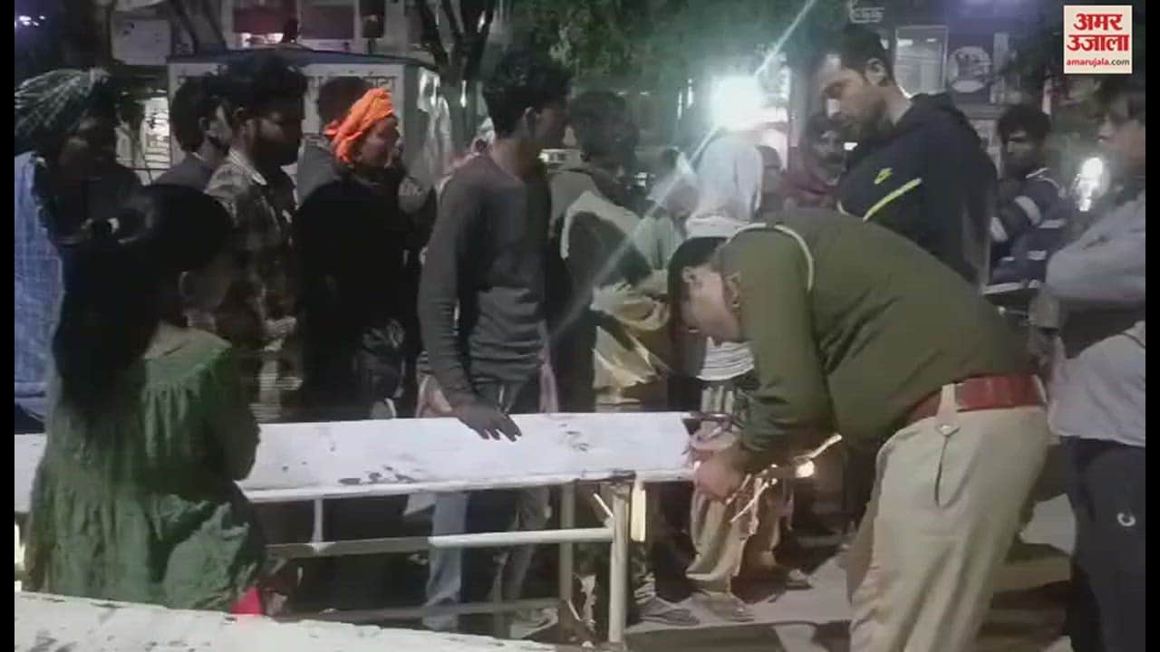 VIDEO : बहादुरगढ़ में क्रेन पर चढ़कर मधुमक्खी का छत्ता तोड़ते वक्त क्रेन का झूला टूटा, एक की मौत