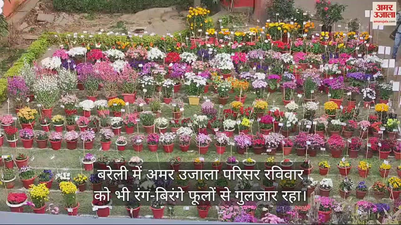 VIDEO : अमर उजाला पुष्प प्रदर्शनी... फूलों से गुलजार बगिया ने मोह लिया लोगों का मन