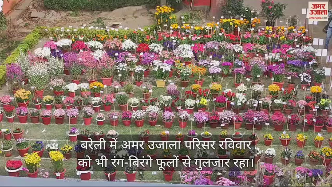 VIDEO : अमर उजाला पुष्प प्रदर्शनी... फूलों से गुलजार बगिया ने मोह लिया लोगों का मन