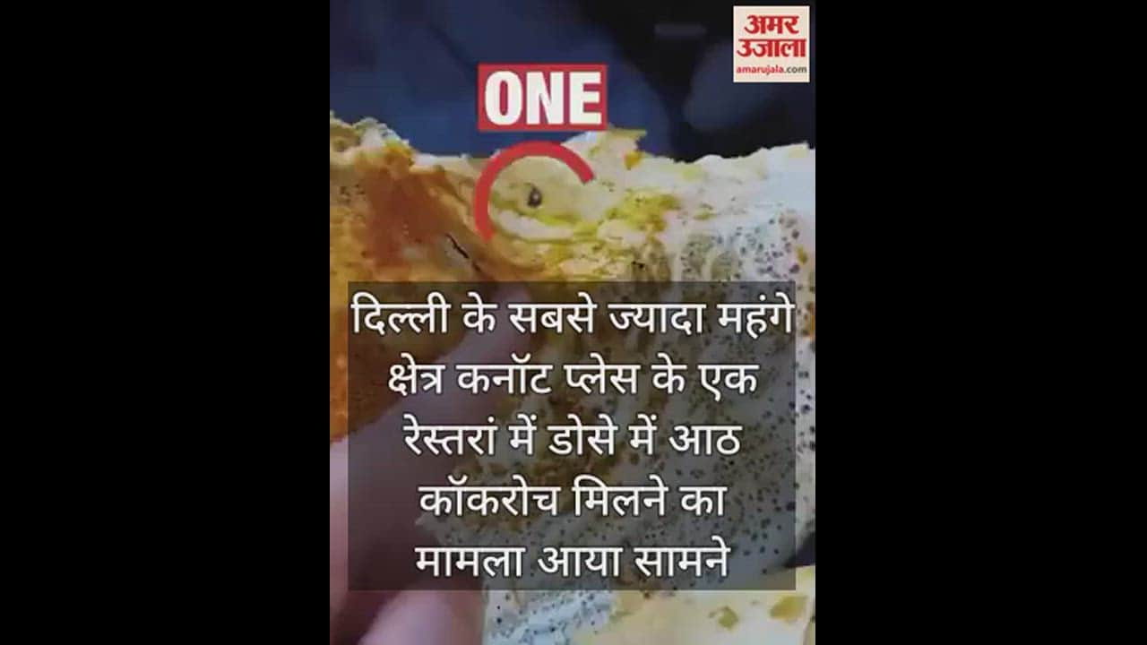 VIDEO : Eight cockroaches found in dosa in Connaught Place restaurant
